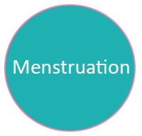 menstruationstasse menstruation